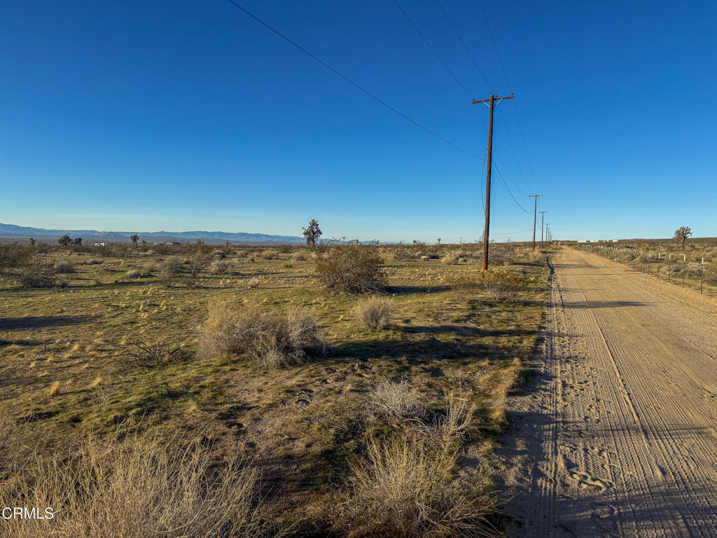 MLS #P1-25178 image #3