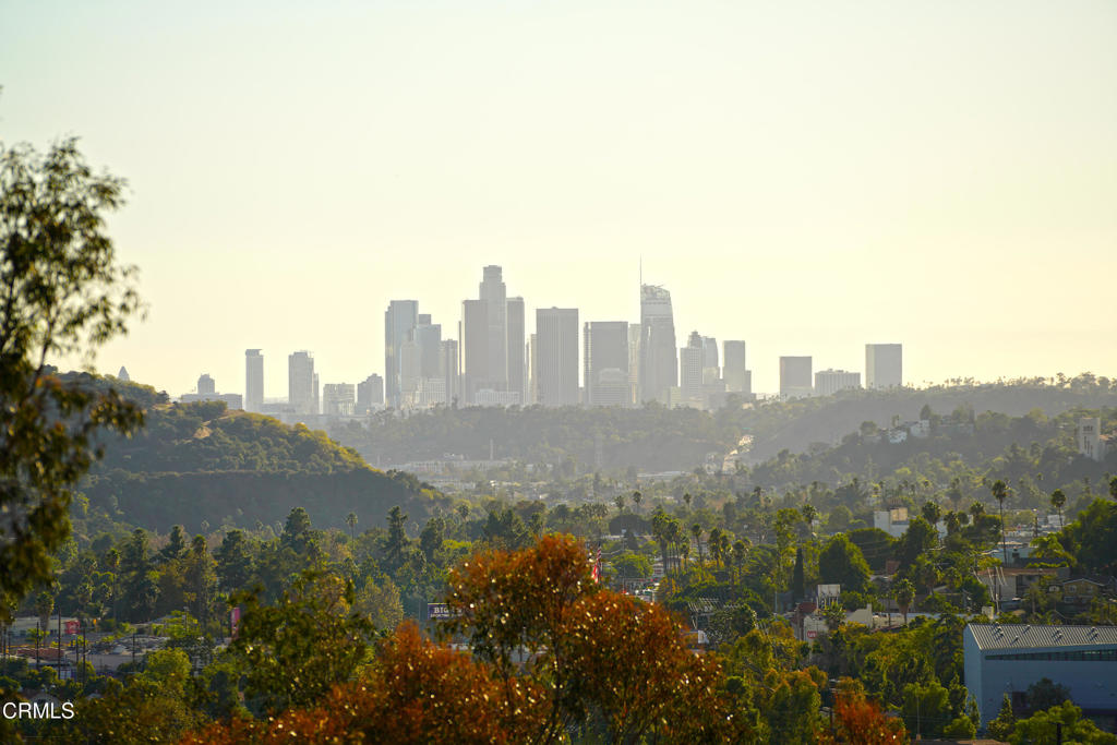 MLS #P1-25442 image #30