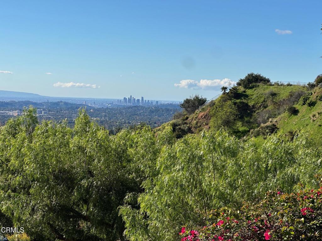 MLS #P1-25478 image #19