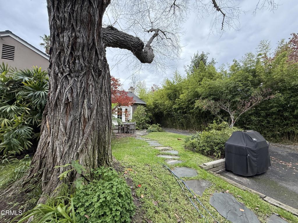 MLS #P1-25490 image #14