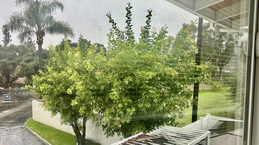 MLS #P1-25564 image #7