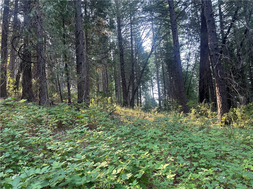 MLS #PA24150895 image #1