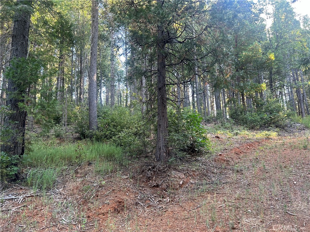 MLS #PA24150895 image #10