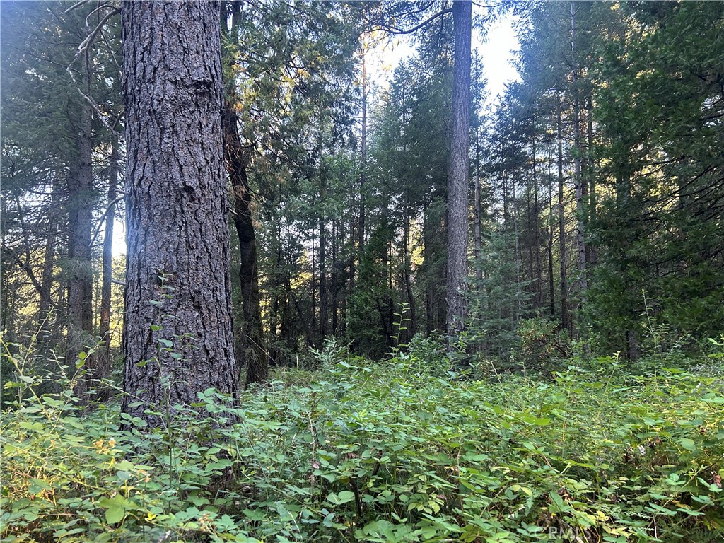 MLS #PA24150895 image #2