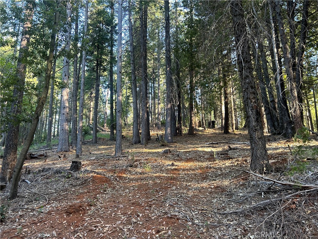 MLS #PA24150895 image #3