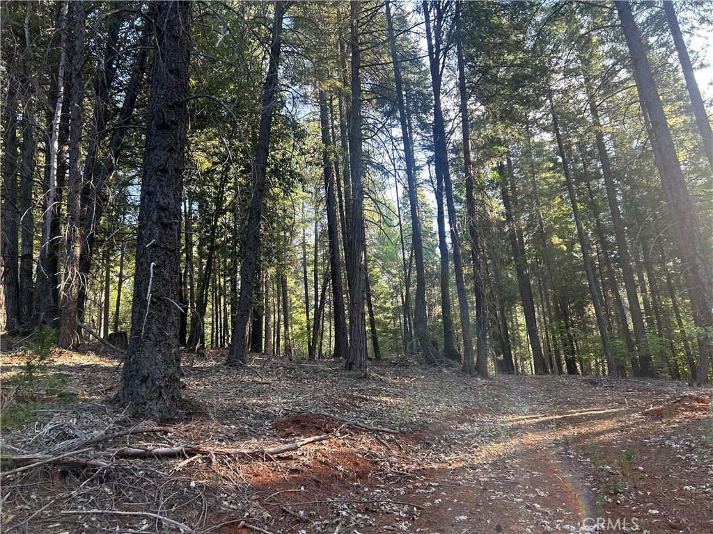 MLS #PA24150895 image #4