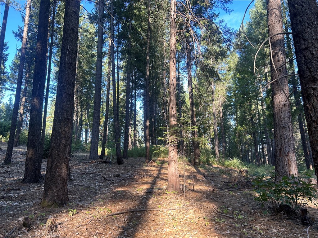 MLS #PA24150895 image #5