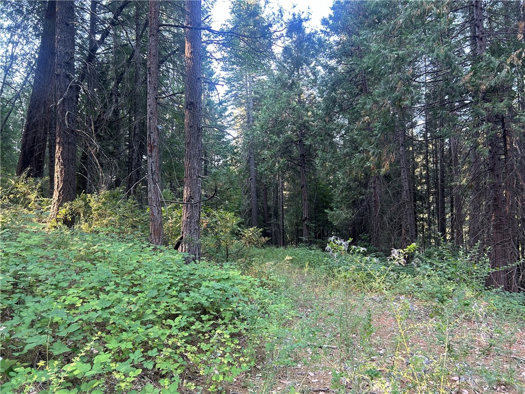 MLS #PA24150895 image #6