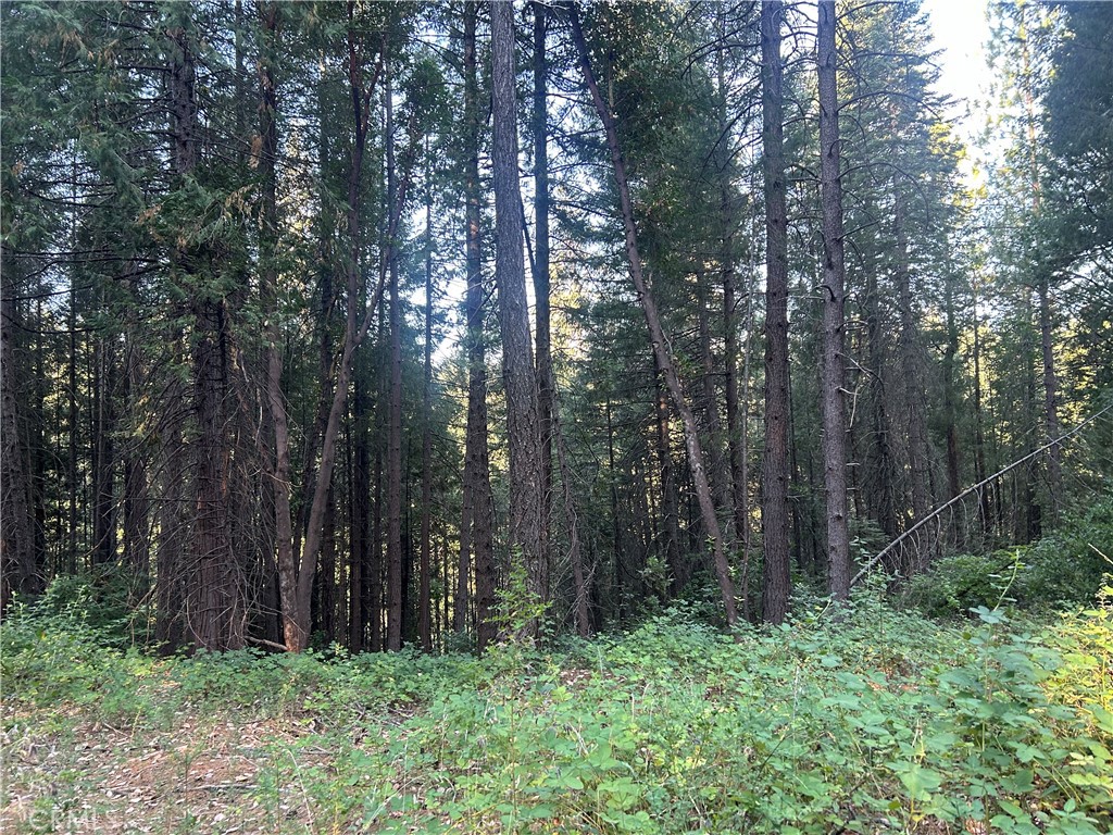 MLS #PA24150895 image #7