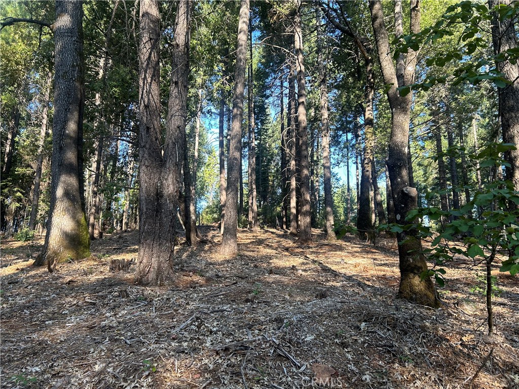 MLS #PA24150895 image #8