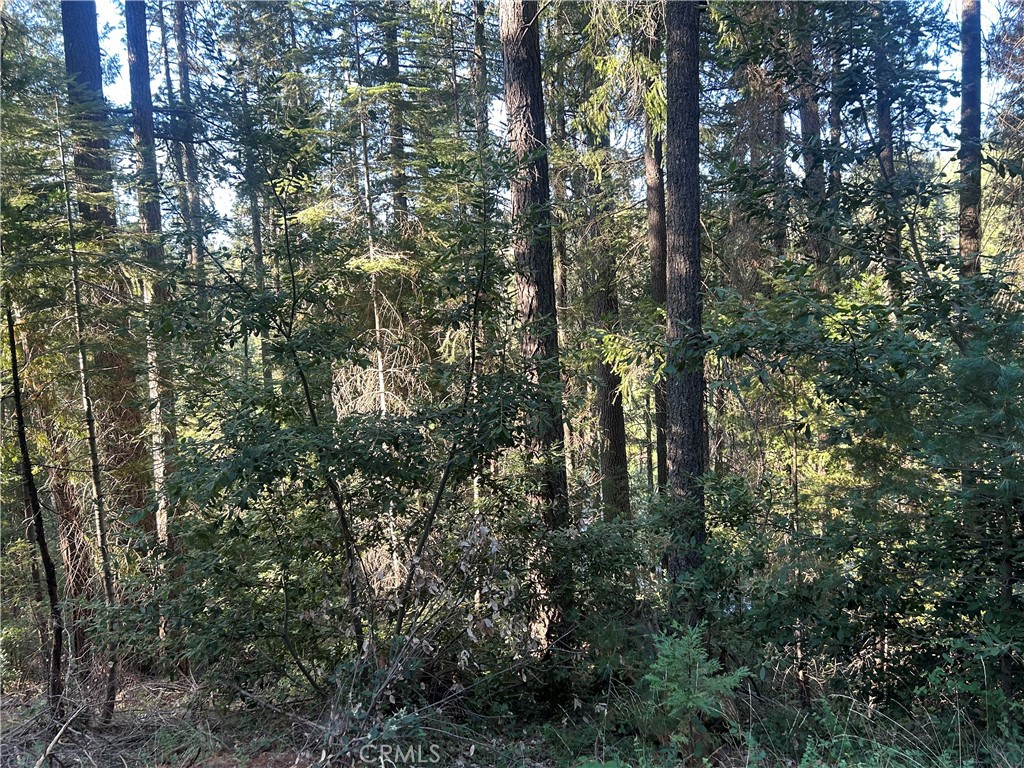 MLS #PA24150895 image #9