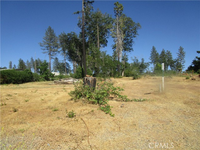 MLS #PA25136963 image #1