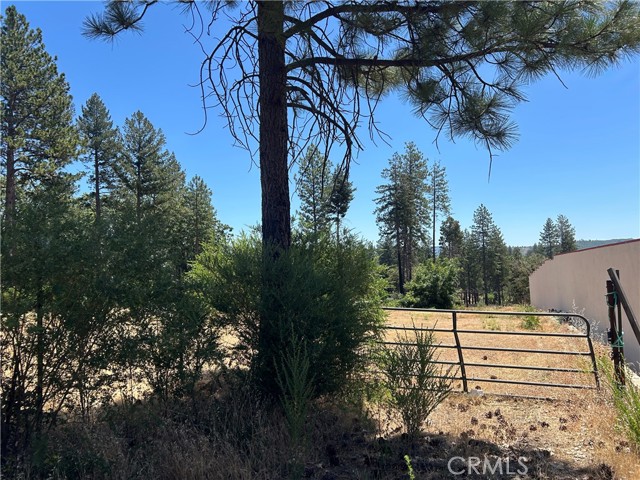 MLS #PA25141370 image #10