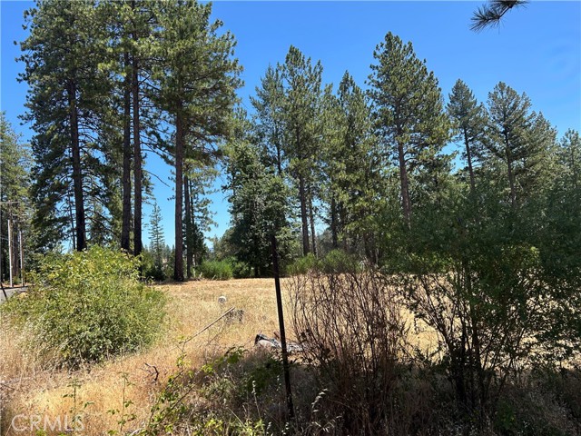 MLS #PA25141370 image #11