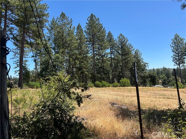 MLS #PA25141370 image #12