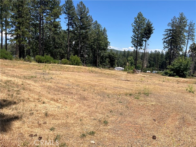 MLS #PA25141370 image #2