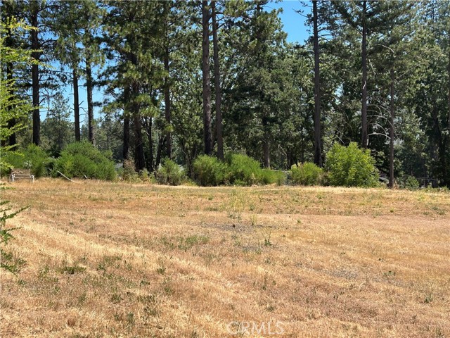 MLS #PA25141370 image #3