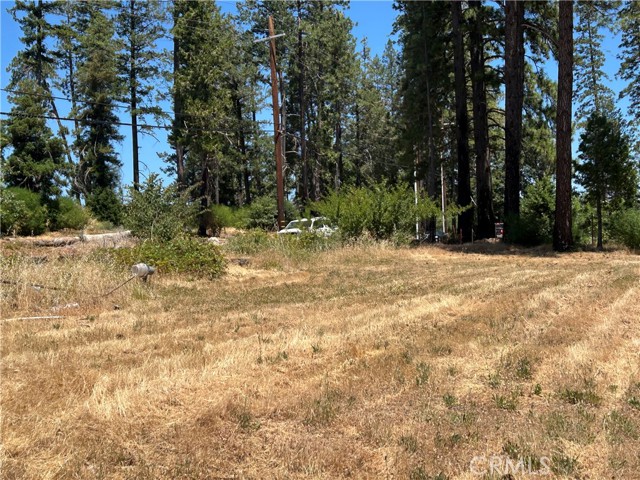 MLS #PA25141370 image #4