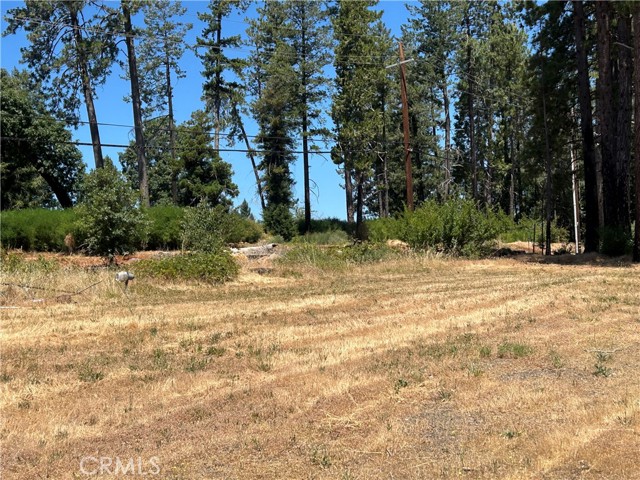 MLS #PA25141370 image #5