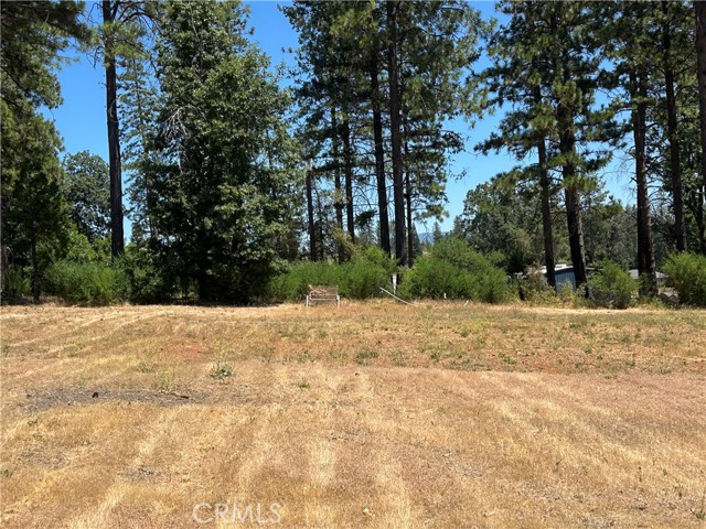 MLS #PA25141370 image #6