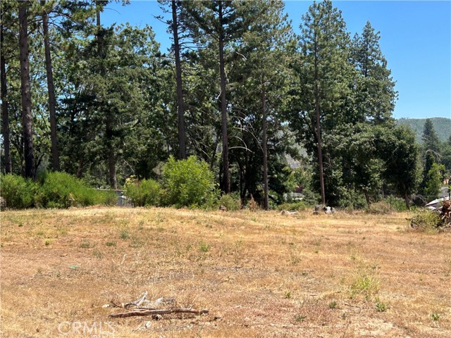 MLS #PA25141370 image #7