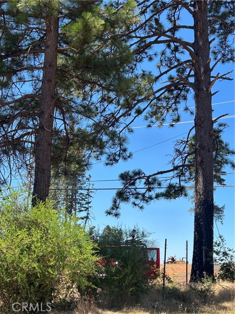 MLS #PA25141370 image #8