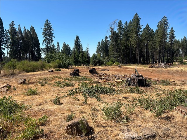 MLS #PA25172773 image #10