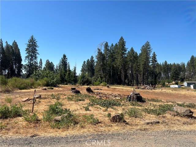 MLS #PA25172773 image #11