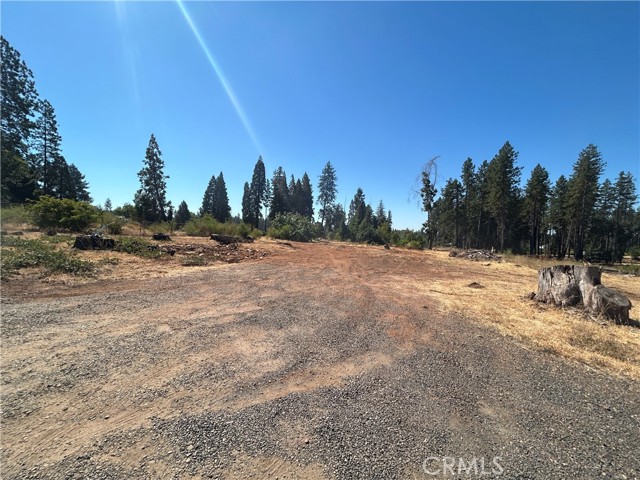 MLS #PA25172773 image #13