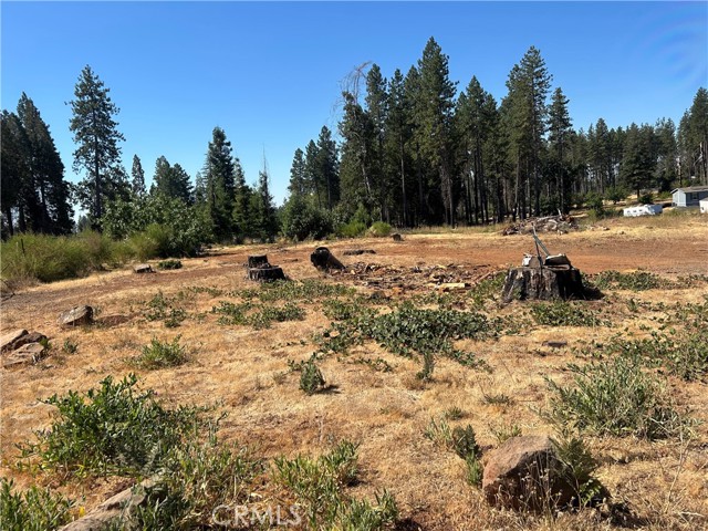 MLS #PA25172773 image #3