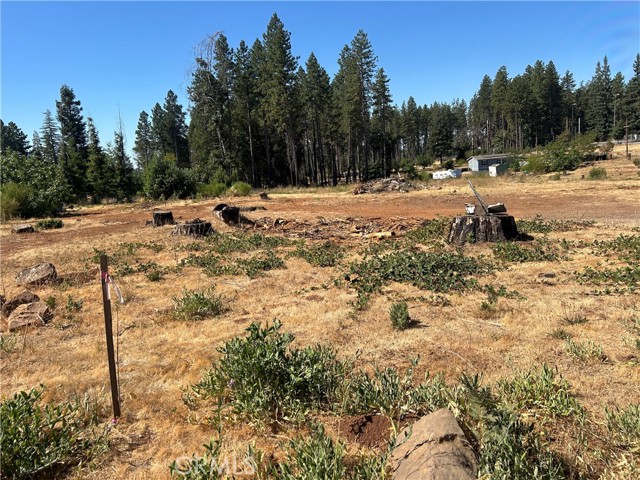 MLS #PA25172773 image #4