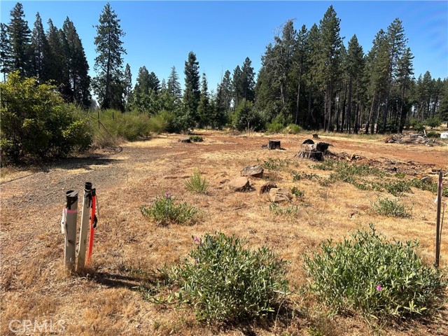 MLS #PA25172773 image #5