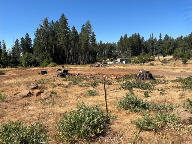 MLS #PA25172773 image #6