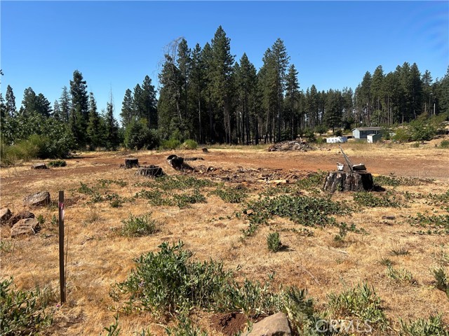 MLS #PA25172773 image #7