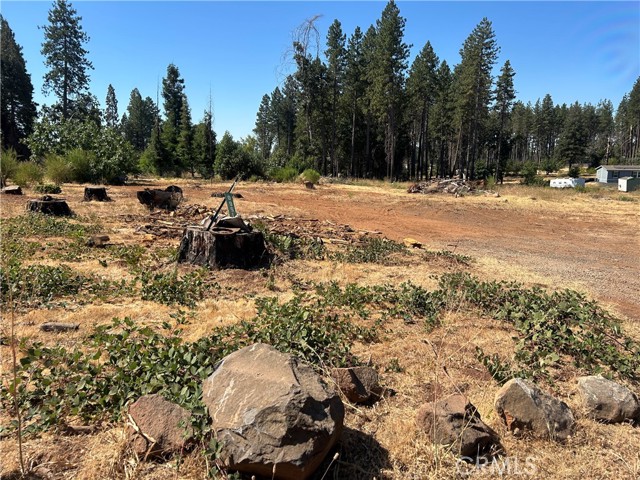 MLS #PA25172773 image #8