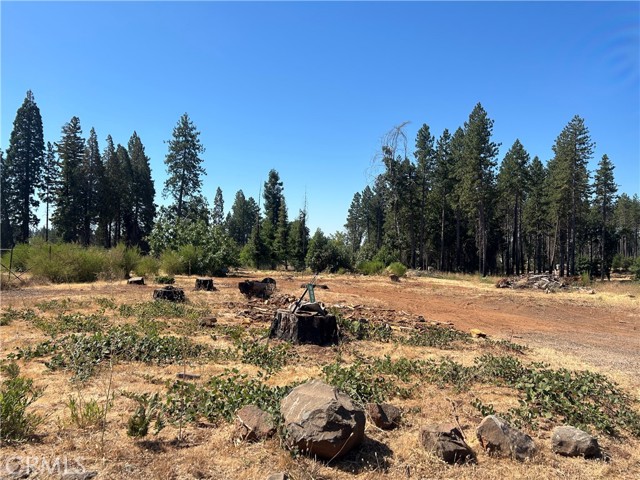 MLS #PA25172773 image #9