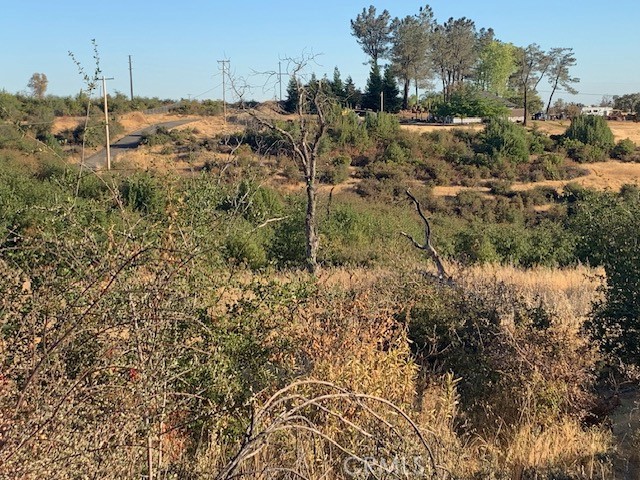 MLS #PA25188715 image #5