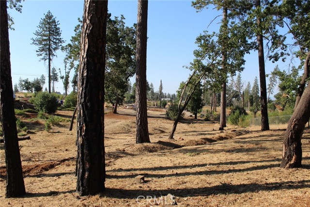 MLS #PA25200131 image #1