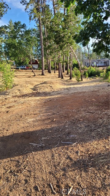 MLS #PA25200131 image #3