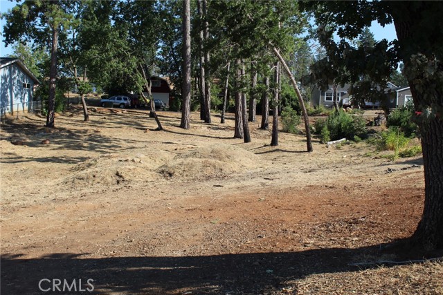 MLS #PA25200131 image #6