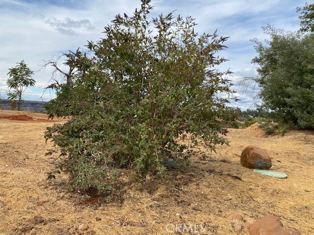 MLS #PA25217240 image #11