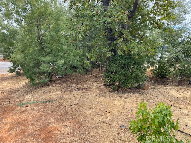 MLS #PA25217240 image #12