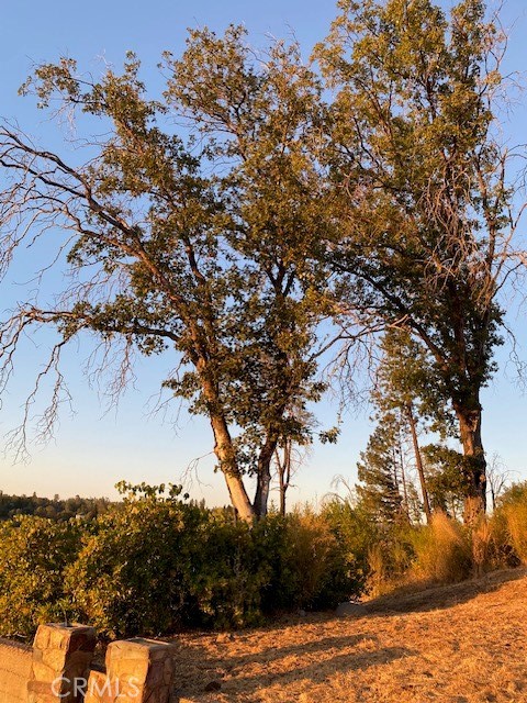 MLS #PA25217240 image #4