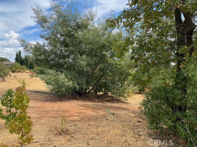 MLS #PA25217240 image #8