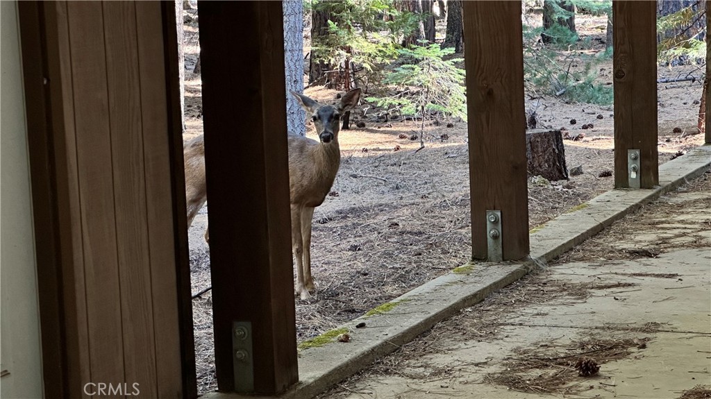 MLS #PA25222870 image #33