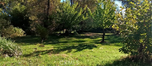 MLS #PA25238259 image #3