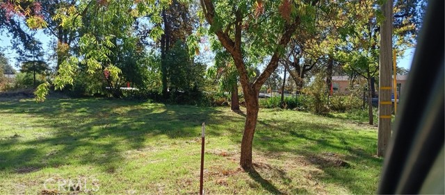 MLS #PA25238259 image #5