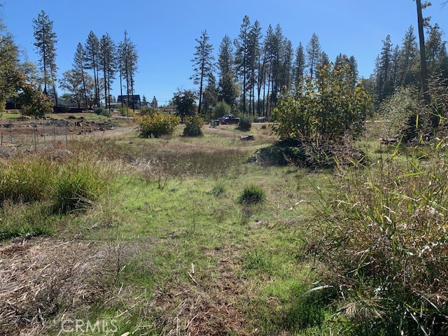 MLS #PA25246543 image #6