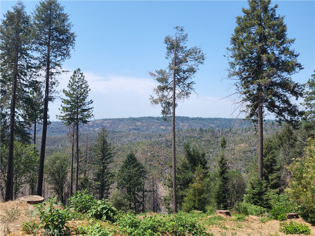 MLS #PA25265672 image #8