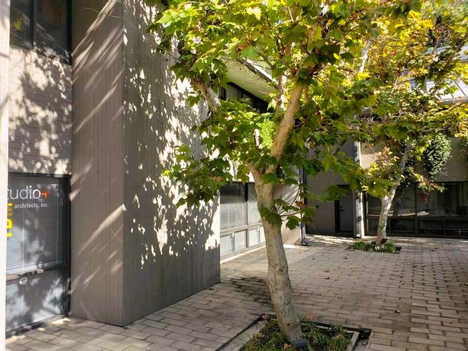 MLS #PF23212873 image #4